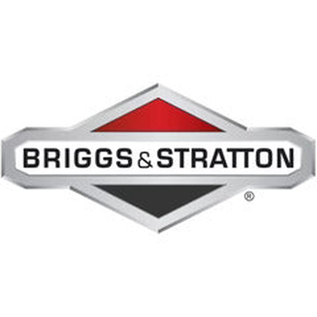 Briggs & Stratton 010851ZMA Washer